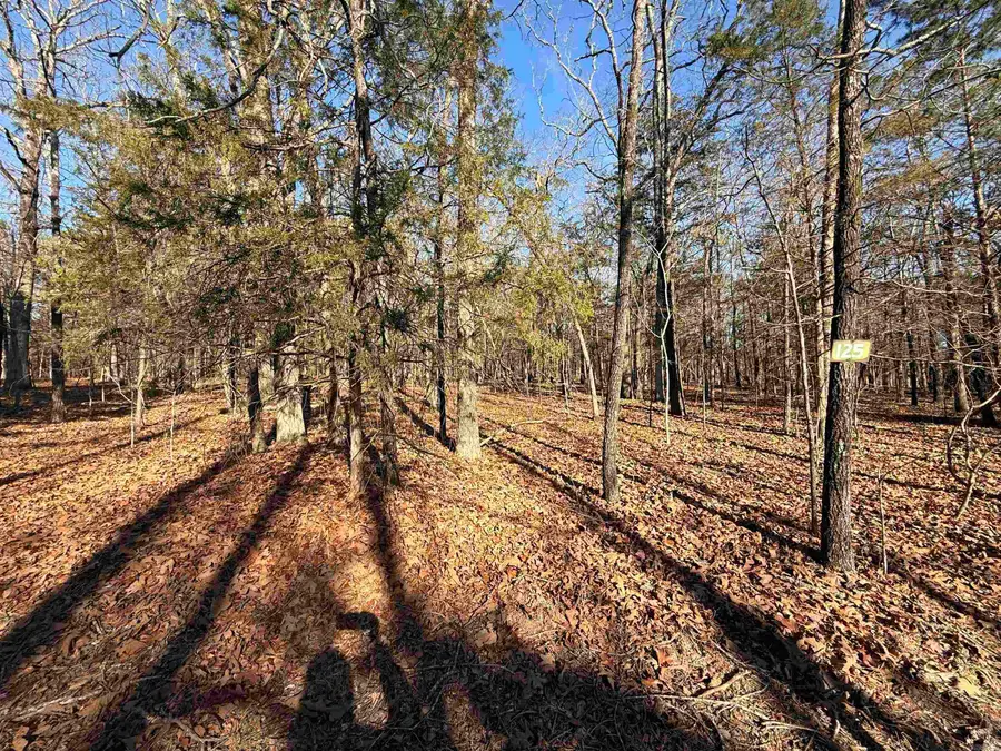 Lot 125 Tannenbaum Rd., Drasco, AR 72530 - #2