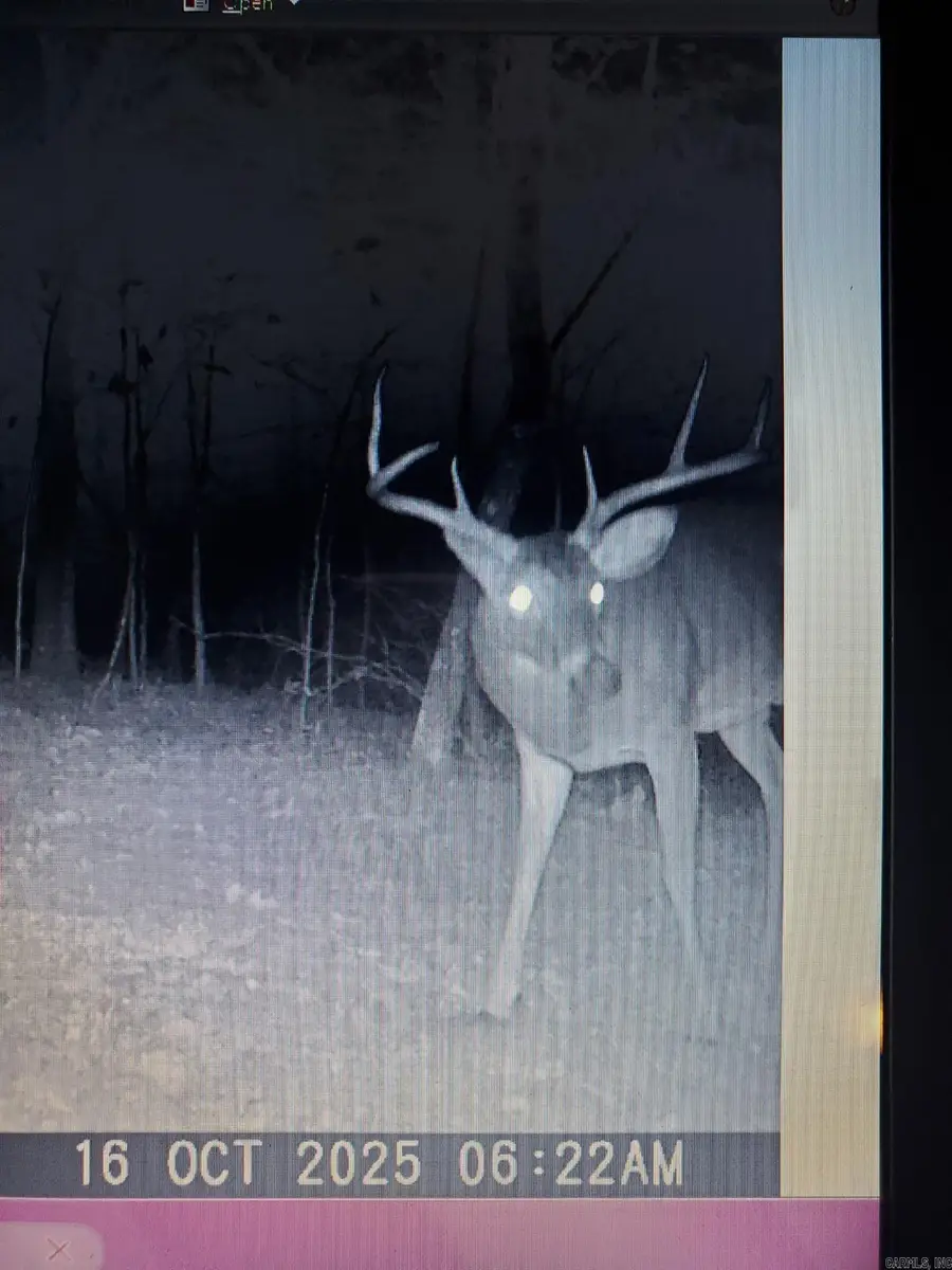 Owens Ward Road, Mountain View, AR 72560 - #3