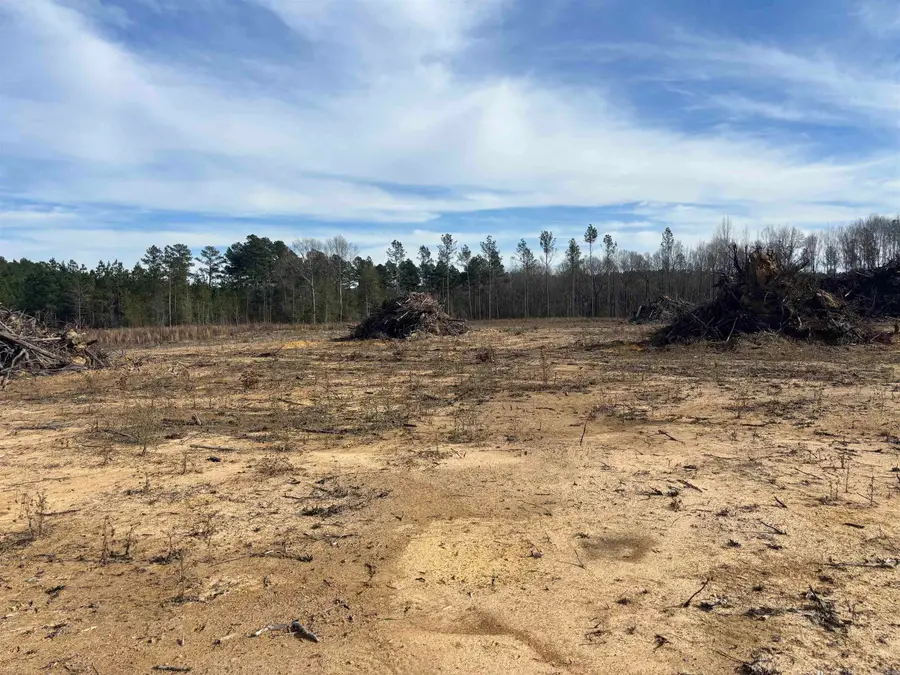 0 Grant 9, Sheridan, AR 72150 - Image #2