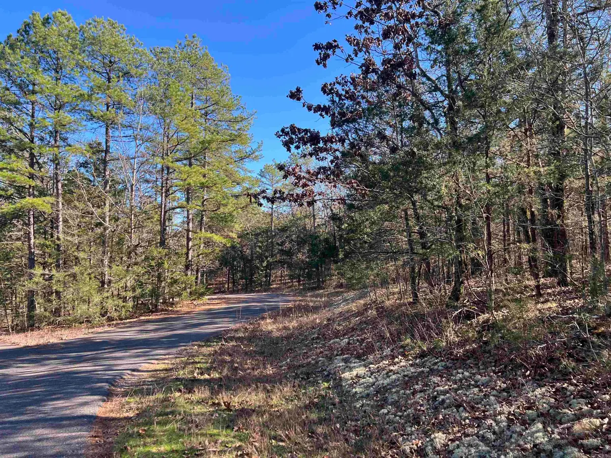 14 Perfecto Court, Hot Springs Village, AR 71909 - #1