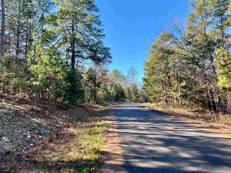 14 Perfecto Court, Hot Springs Village, AR 71909 - #2