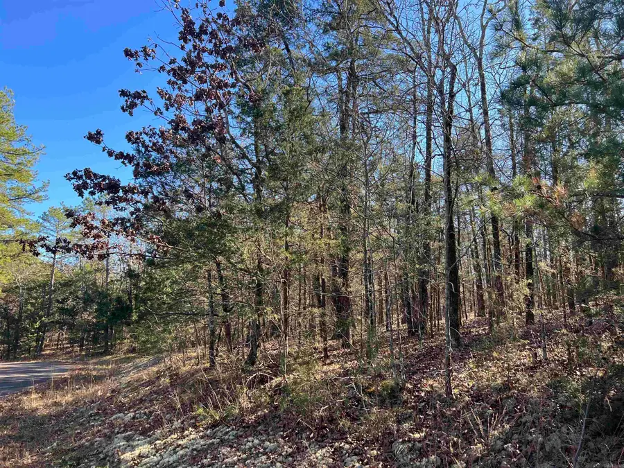 14 Perfecto Court, Hot Springs Village, AR 71909 - #3