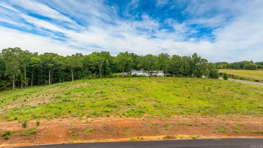 Lot 4 Hwy 65/ Sky Eagle Dr., Greenbrier, AR 72058 - Image #3