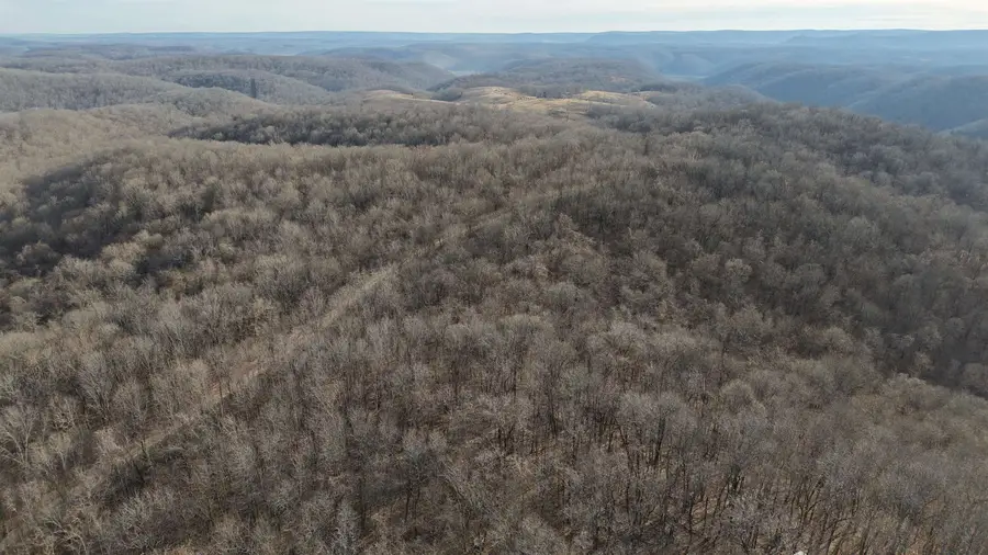 71A Love Hollow, Mount Pleasant, AR 72561 - #3