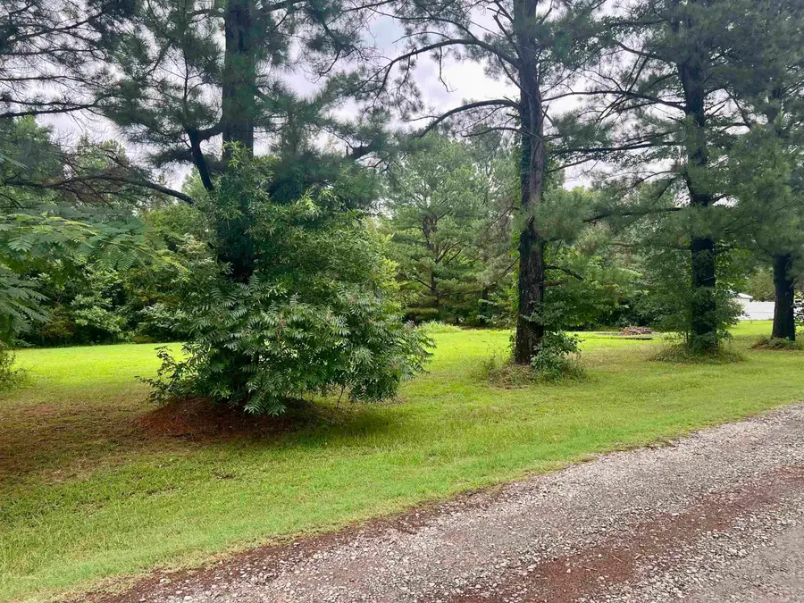 100 Mountain Side Drive, Pangburn, AR 72121 - #2