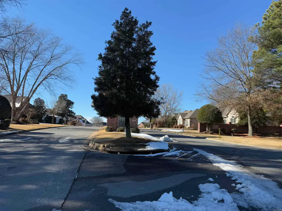 105 Navajo Trail, Maumelle, AR 72113 - #3