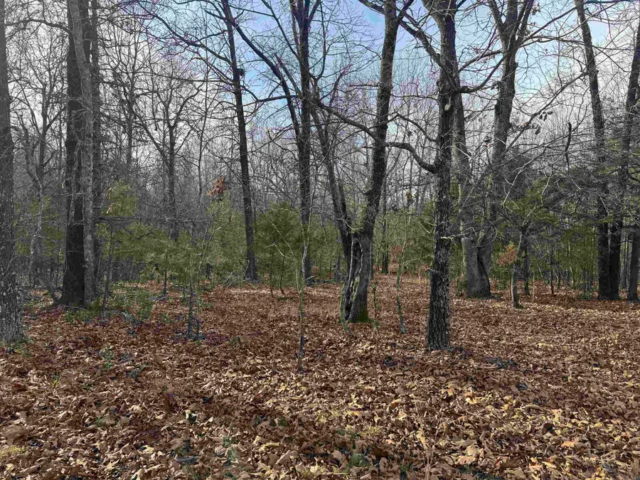 2390 Mc 2061, Marion County, AR 72687 - #2