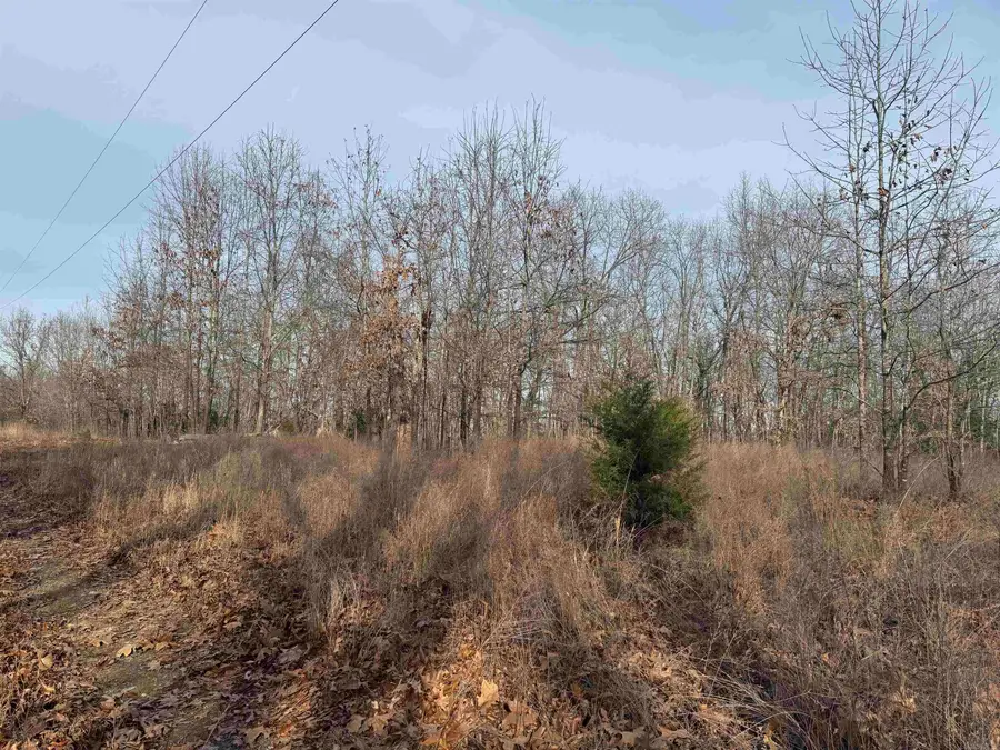 2390 Mc 2061, Marion County, AR 72687 - #3