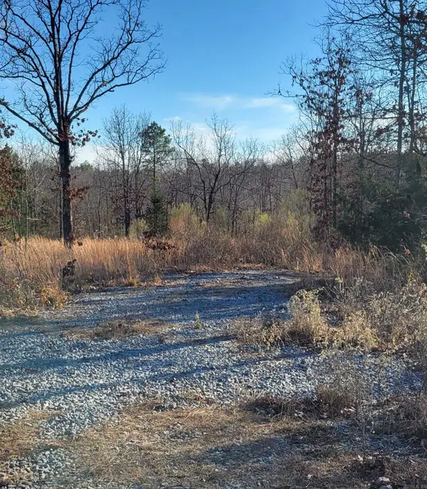 19 Manna Lane, Conway, AR 72032