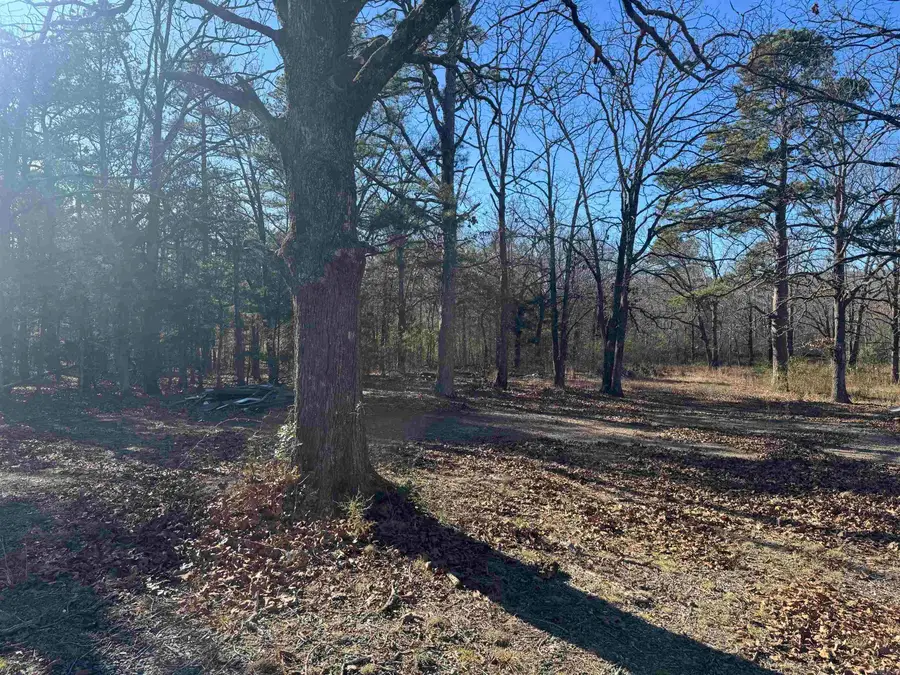 2859 Hwy 71 N, Mena, AR 71953 - Image #3