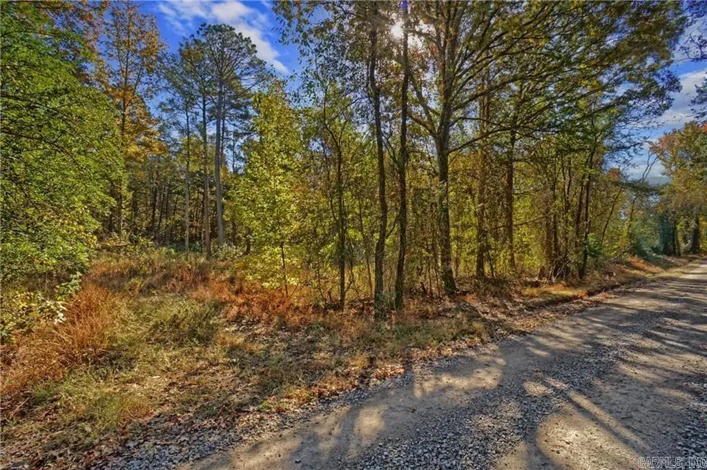 Lot 6 Melvin Ln., Dover, AR 72837 - Image #1
