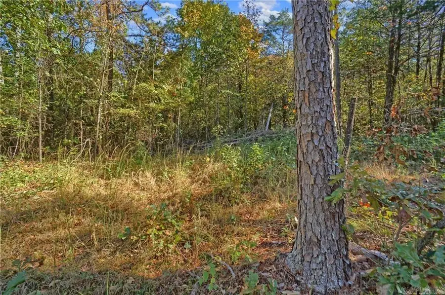Lot 6 Melvin Ln., Dover, AR 72837 - Image #3