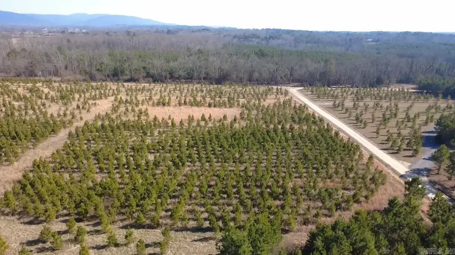 TBD Highway 8 West, Mena, AR 71953 - #3