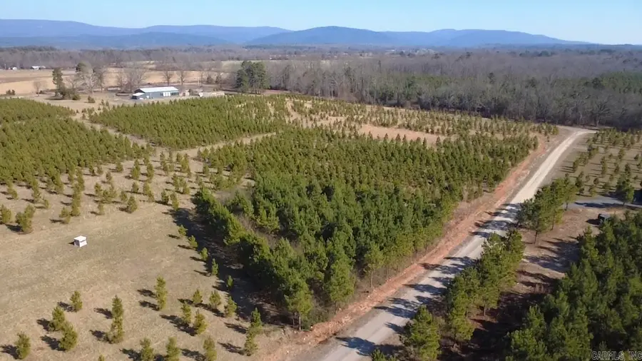 TBD Serenity Lane, Mena, AR 71953 - #3