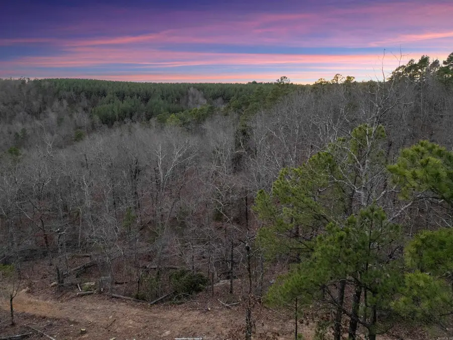 000 Timberline Drive, Leslie, AR 72645 - #3