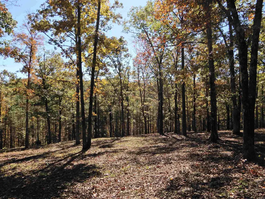 Lot 33, 34 & 35 Watersedge Drive, Edgemont, AR 72044 - Image #3