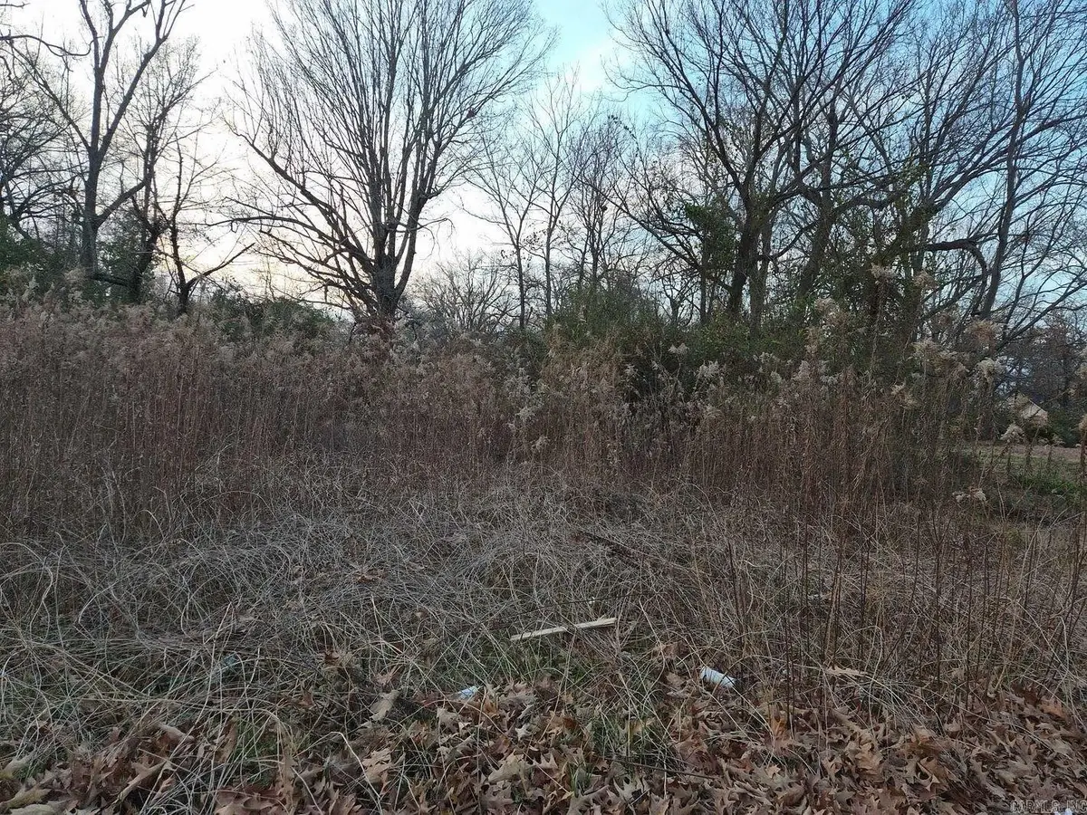 Address Withheld By Seller, Pine Bluff, AR 71603 - #1