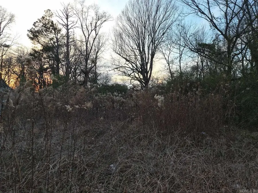 Address Withheld By Seller, Pine Bluff, AR 71603 - #2