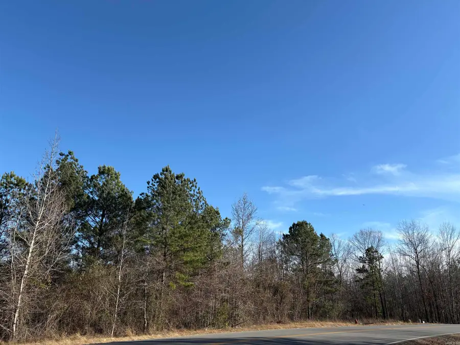 206 Parkway Trail Boulevard, Bauxite, AR 72011 - Image #2