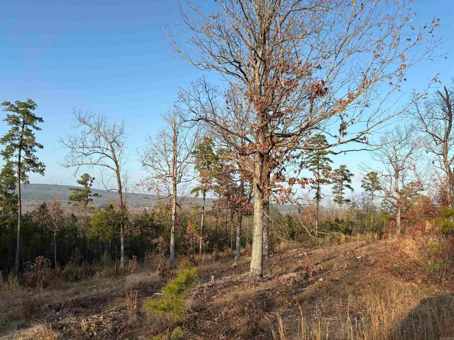 21216 Valley View Cove, Roland, AR 72135 - Image #2