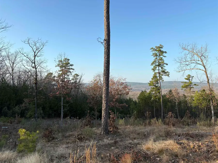 21216 Valley View Cove, Roland, AR 72135 - Image #3