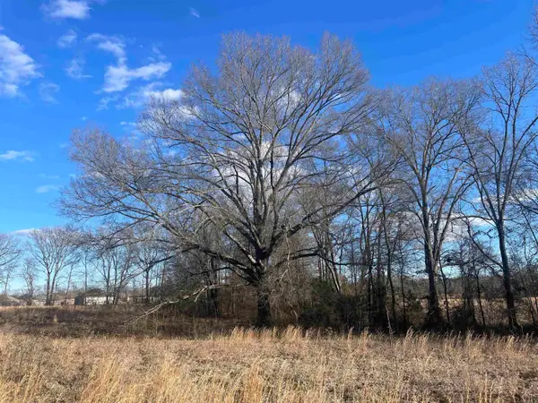 Weatherwood Drive, Greenbrier, AR 72058