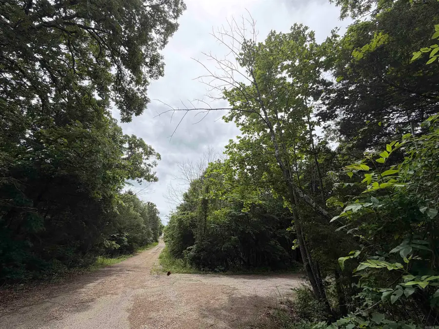 001 Clark Lane, Horseshoe Bend, AR 72512 - #2
