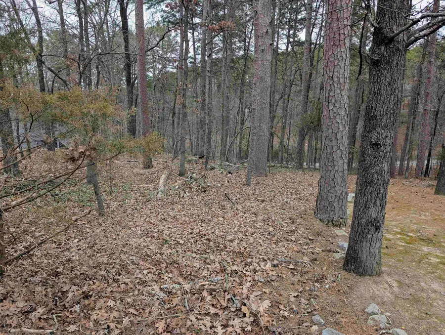 5 Salobrena Way, Hot Springs Village, AR 71909 - Image #2