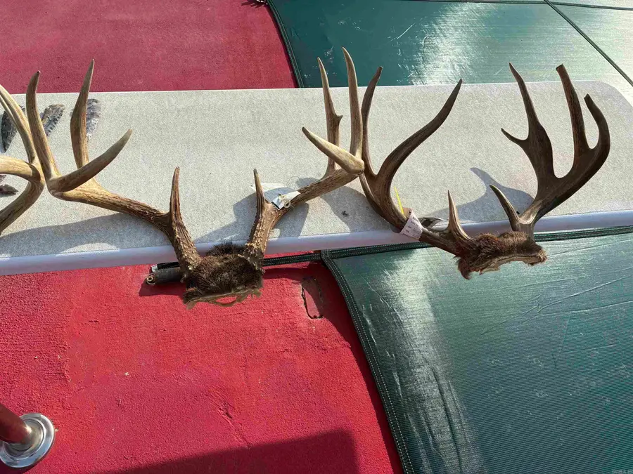 635 S Arkansas Highway 113, Bigelow, AR 72016 - Image #3