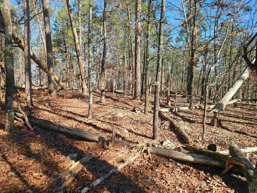 101 Mansilla Way Way, Hot Springs Village, AR 71909 - Image #2