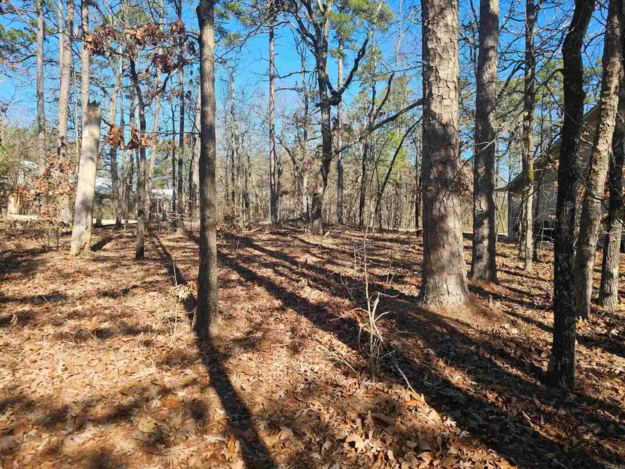 99 Mansilla Way Way, Hot Springs Village, AR 71909 - Image #2