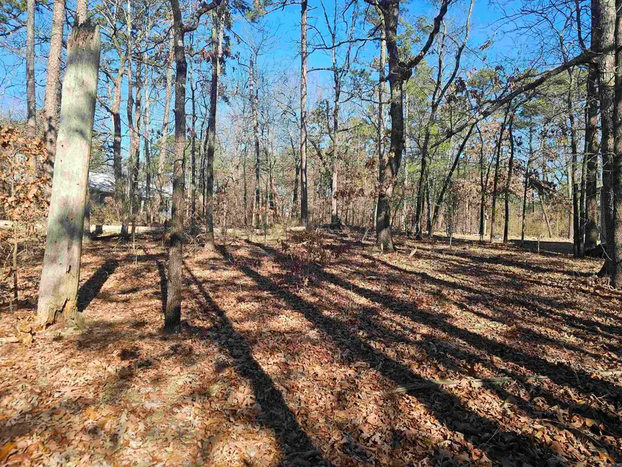 99 Mansilla Way Way, Hot Springs Village, AR 71909 - Image #3