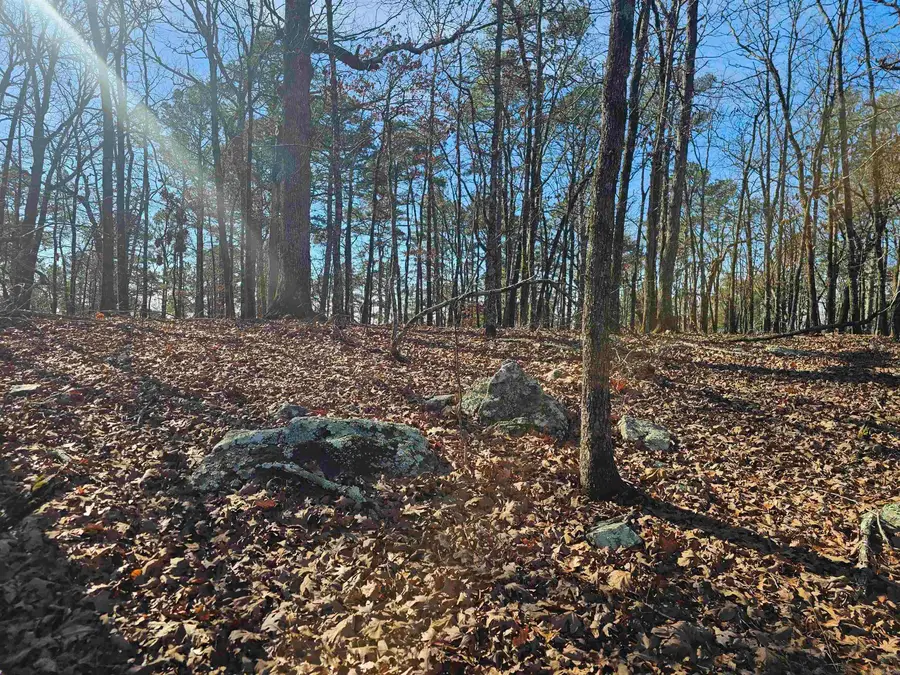 63 Medina Way, Hot Springs Village, AR 71909 - Image #2