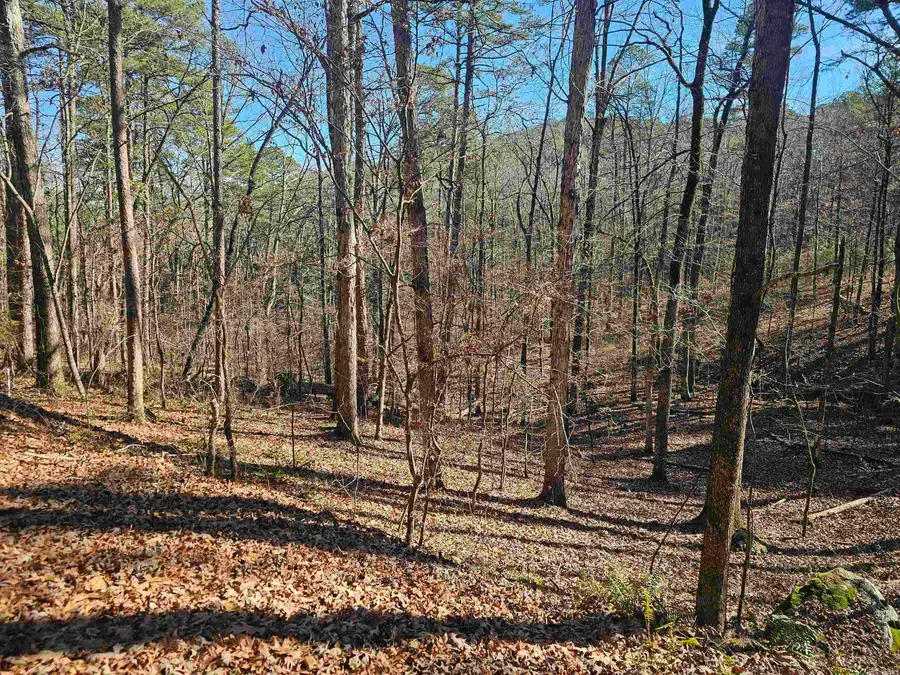 18 Mariposa Way, Hot Springs Village, AR 71909 - Image #2