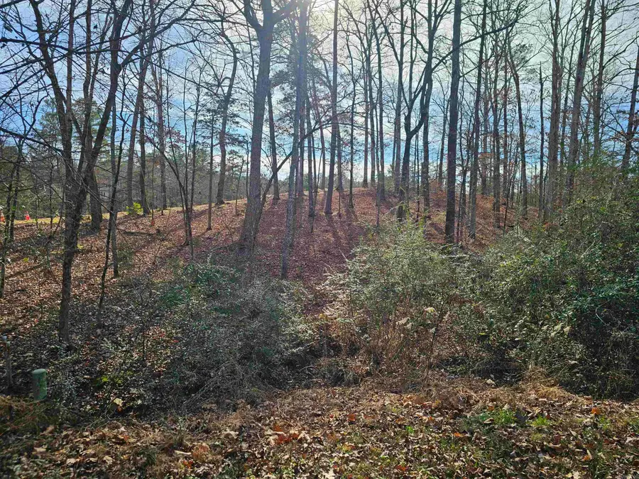 4 Reclamo Place, Hot Springs Village, AR 71909 - Image #2