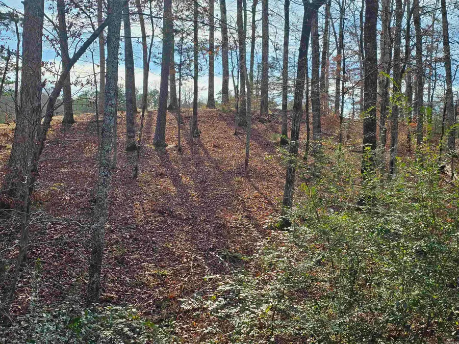 4 Reclamo Place, Hot Springs Village, AR 71909 - Image #3