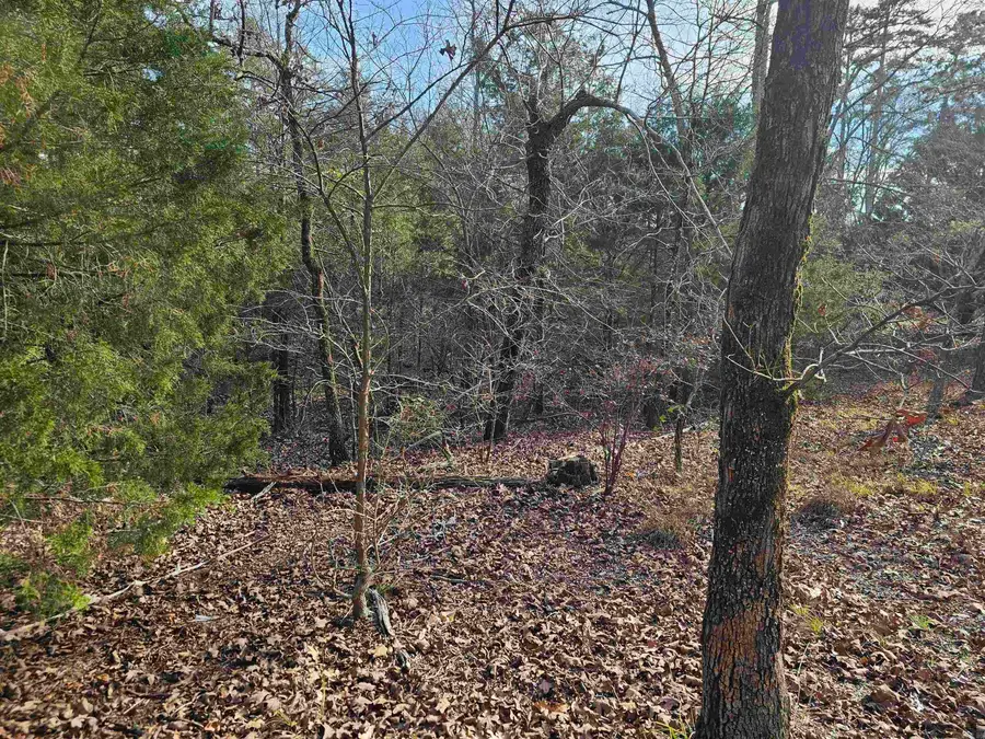 46 Jubileo Way, Hot Springs Village, AR 71909 - Image #3