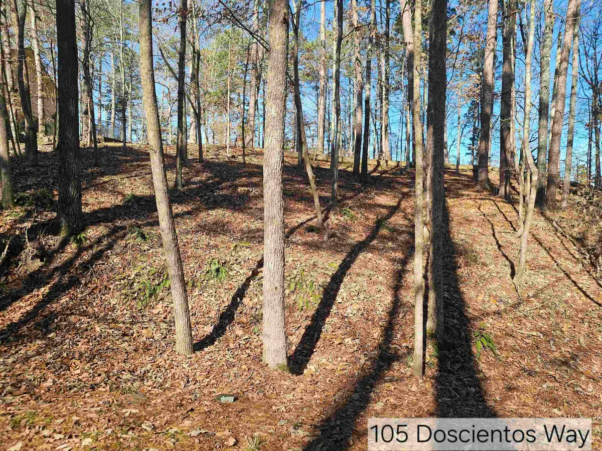 105 Doscientos Way, Hot Springs Village, AR 71909 - Image #1