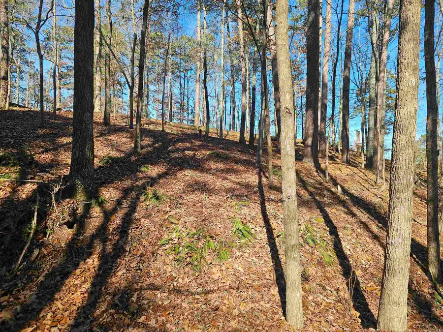 105 Doscientos Way, Hot Springs Village, AR 71909 - Image #2