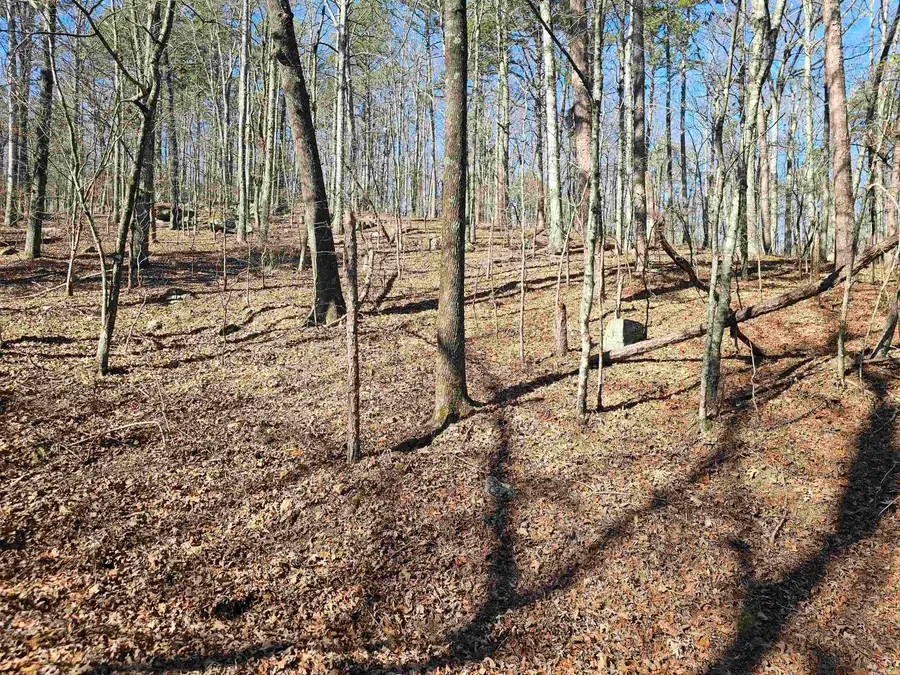 105 Doscientos Way, Hot Springs Village, AR 71909 - Image #3