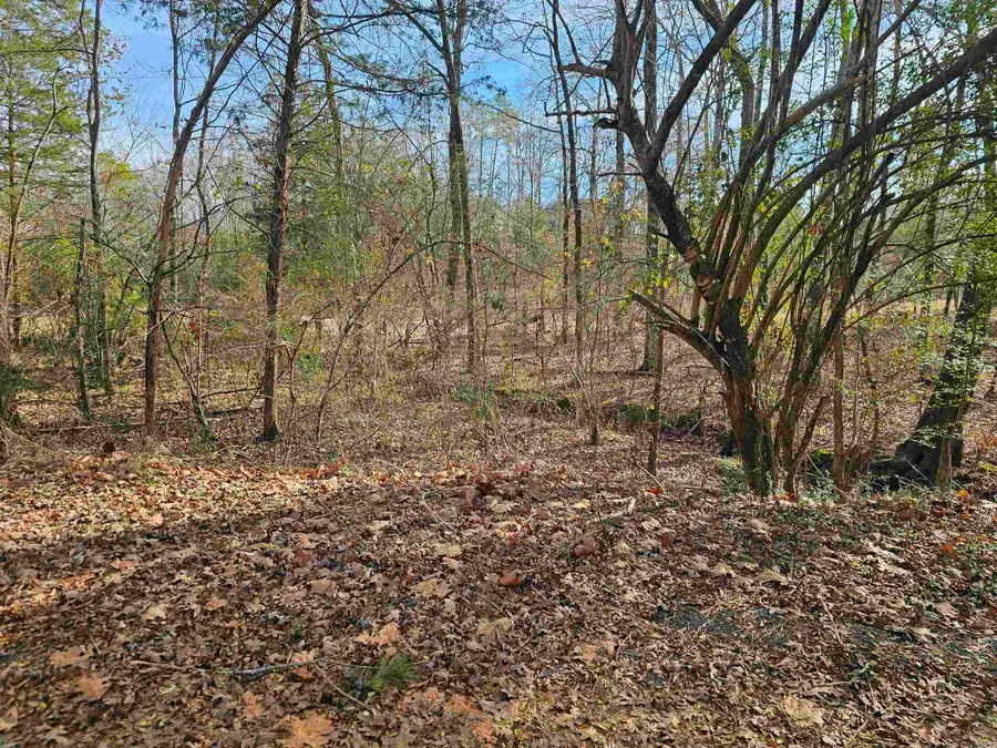 24 Isabella Way, Hot Springs Village, AR 71909 - Image #2