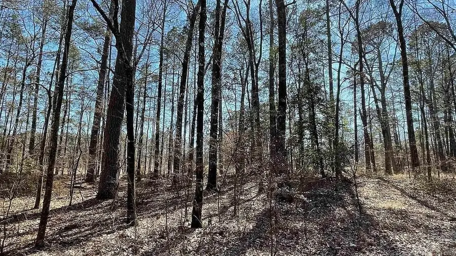 Hwy 8, Fountain Hill, AR 71642 - Image #2