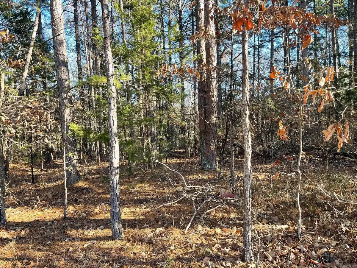 Lot 38R Block 3 Mountain Ranch Drive, Fairfield Bay, AR 72088 - Image #1