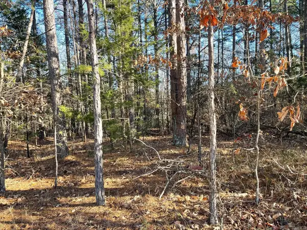 Lot 38R Block 3 Mountain Ranch Drive, Fairfield Bay, AR 72088