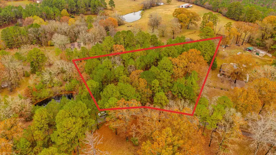 XXX Odell Road, Bismarck, AR 71929 - #3