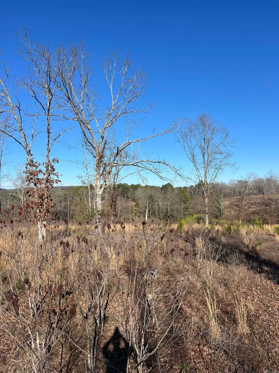 Address Withheld By Seller, Hot Springs, AR 71913 - Image #2