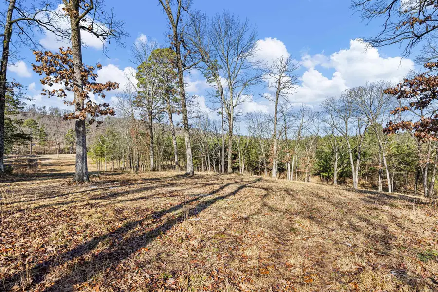 5675 Highway 123, Lamar, AR 72846 - Image #3