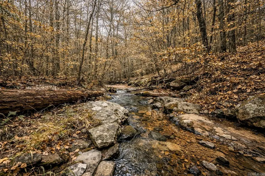 1656 Peyton Mountain Road, Dennard, AR 72629 - #2