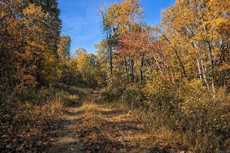 1656 Peyton Mountain Road, Dennard, AR 72629 - #3