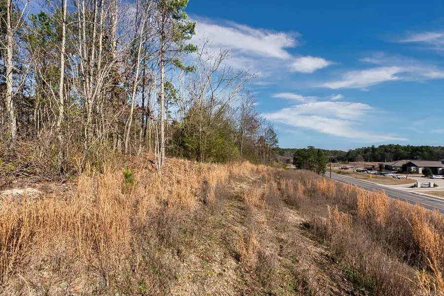 2600 Block Park Avenue, Lot 2l, Hot Springs, AR 71901 - Image #3